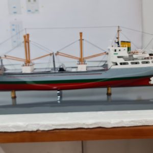 Lugones Model - PSM0027