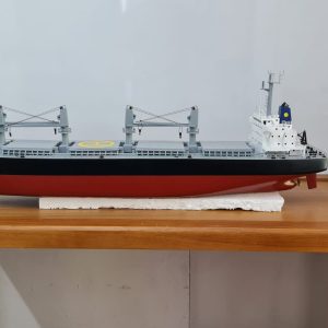 MV Forever happy Model - PSM0017